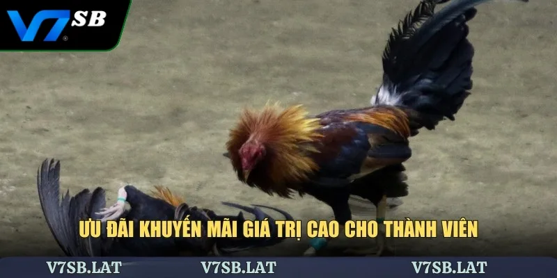 Ưu đãi khuyến mãi giá trị cao cho thành viên